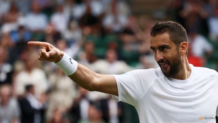 Cilic plays dream-wrecker to British hopes by toppling fourth seed Draper