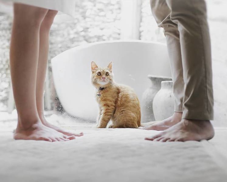 Relationships in quarantine: How couples living together can remain happy