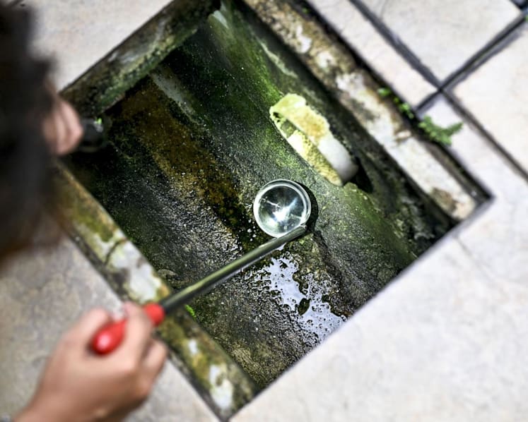'Fast-growing' dengue cluster detected in Yio Chu Kang, 135 cases so far: NEA