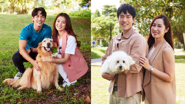 周智慧砸钱为流浪猫治病　蔡琦慧就算结婚也不打算生小孩