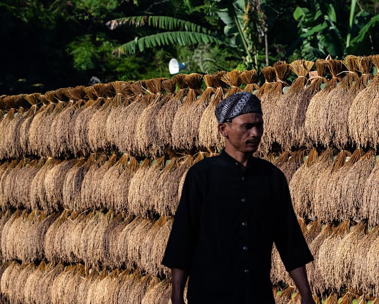 A sacred tradition - why this Indonesian community stockpiles rice to last nearly 100 years