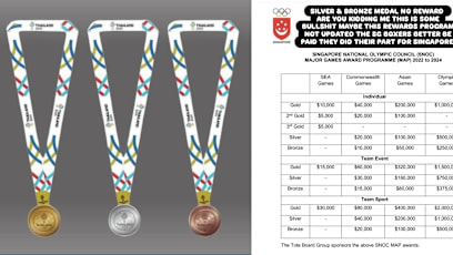 Gold Only? S'pore’s Silver & Bronze SEA Games Medallists Receive No Cash Incentives