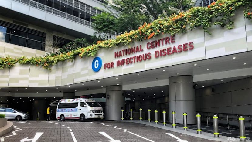 Two Singapore residents who were on hantavirus-hit cruise ship complete quarantine