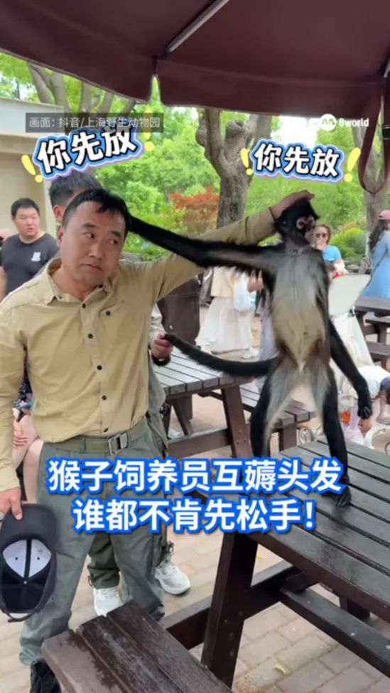 20250517_ChinaMonkey_VOD1