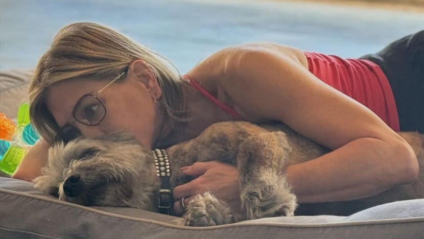 Jennifer Aniston menjajal penulisan buku anak, terinspirasi dari anjingnya Jennifer Aniston menjajal penulisan buku anak, terinspirasi dari anjingnya