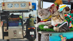 Related article image
