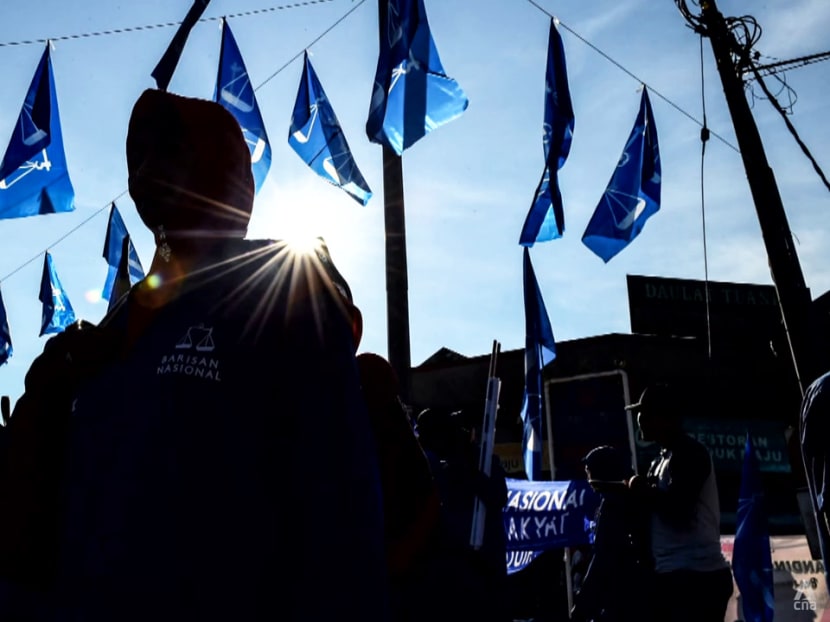 Several UMNO ministers in Ismail Sabri's Cabinet likely to be dropped from contesting: Reports Several UMNO ministers in Ismail Sabri's Cabinet likely to be dropped from contesting: Reports