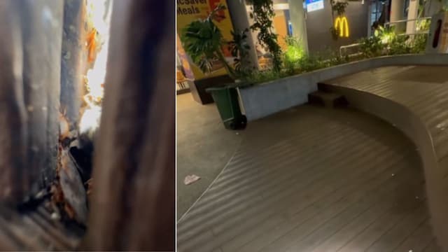 宏茂桥坊外椅子疑遭臭虫入侵 市镇会澄清是蟑螂