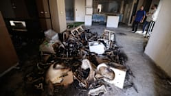 Related article image