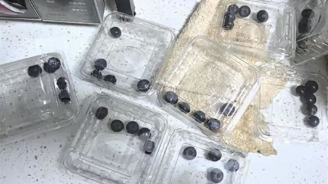 网购八盒蓝莓每盒仅几颗？网店：我们也是受害者