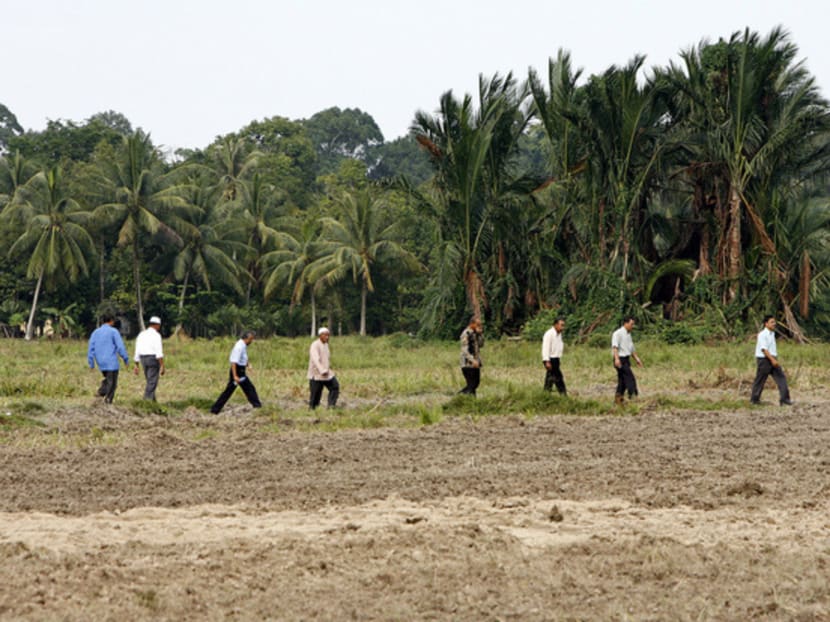 Villagers walking through a dry paddy field in Malaysia. As the country suffers a severe drought, rice farmers in Penang have been advised to hold off planting until the situation improves. Photo: REUTERS Villagers walking through a dry paddy field in Malaysia. As the country suffers a severe drought, rice farmers in Penang have been advised to hold off planting until the situation improves. Photo: REUTERS