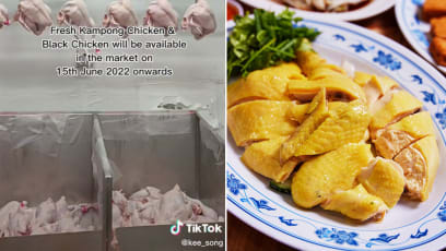 M’sian Fresh Kampong Chickens, Selected Frozen Products Apparently Allowed For Export Again