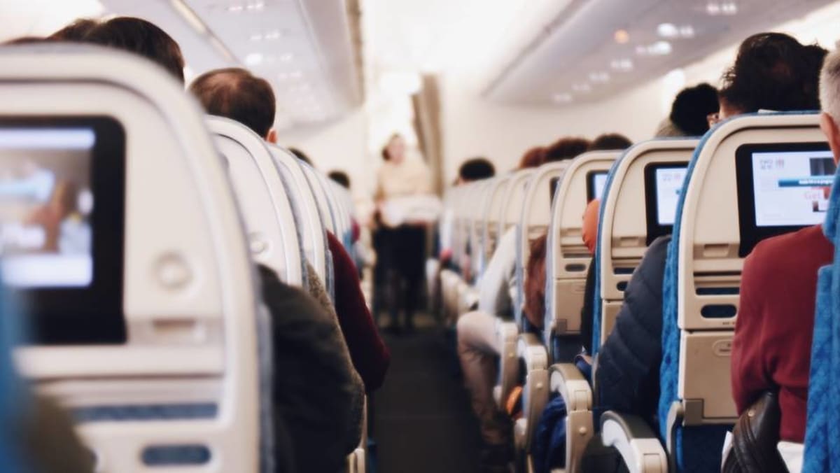 Singapore police warn criminals against ‘taking chances’ amid growing in-flight theft concerns