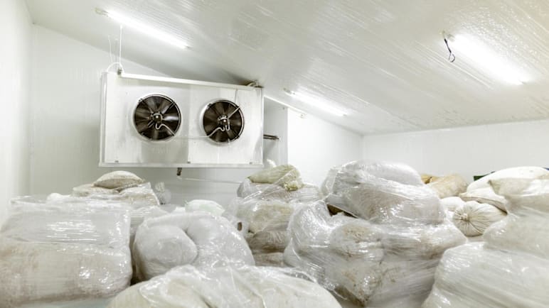 Singapore to tighten rules on refrigerants used in supermarkets, vehicles