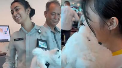 Changi Airport Security Officer Pretends To Confiscate Girl’s Toy — “Are Staff In S’pore All So Humorous?” Netizens Ask
