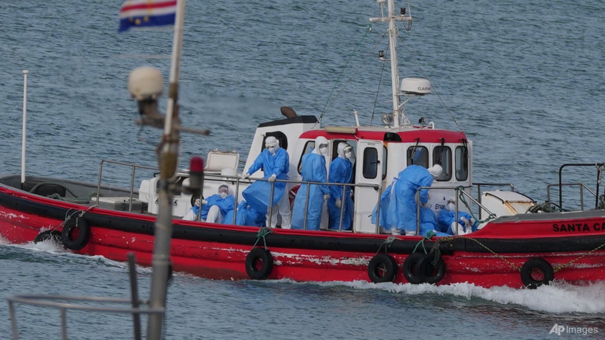 Plane with hantavirus ship evacuees in Spain to fix 'broken isolation bubble': regional govt