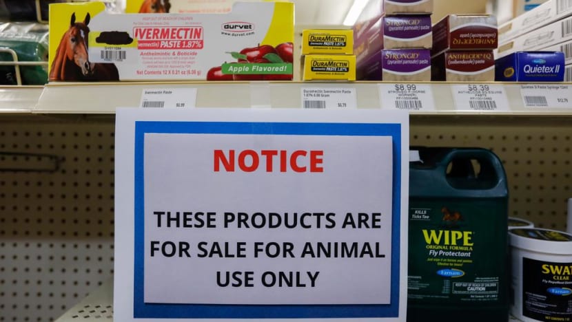 Some S’poreans buy ivermectin online to treat Covid-19 though experts warn it is unproved, potentially dangerous