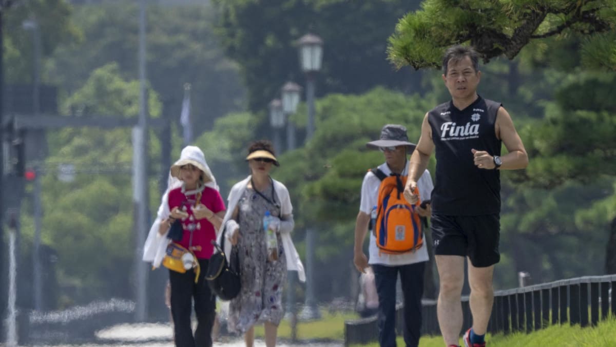 ‘Never seen before’ rains lash southern Japan