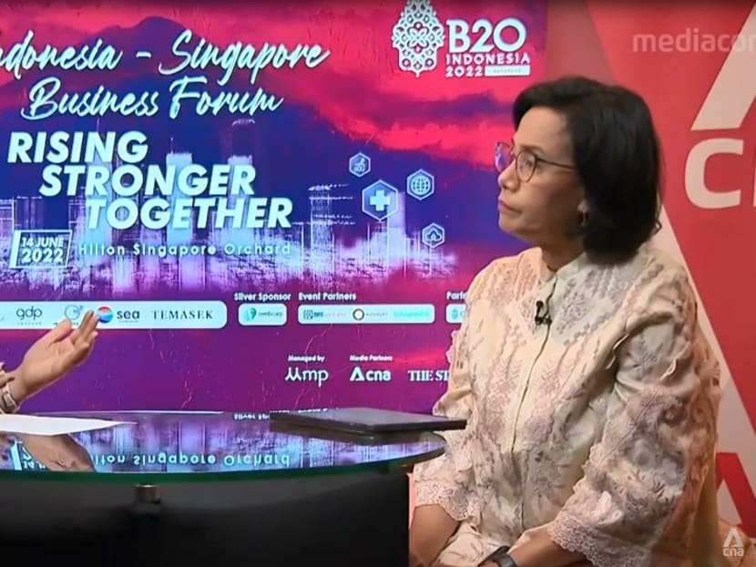 Global economic recovery from COVID-19 overshadowed by food, energy supply disruptions: Indonesian finance minister