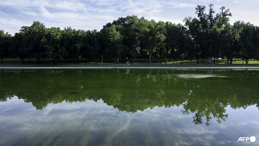 Trump say repairs to begin 'immediately' for Washington pool renovation