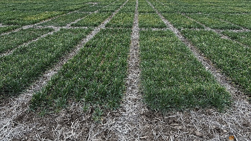 Syngenta files for Hong Kong IPO that could raise $5 billion, Bloomberg News reports
