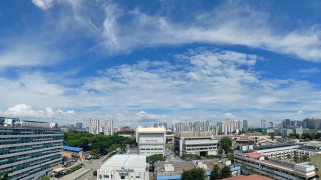 本地天空晴朗湛蓝 “棉花糖”和“鱼鳞”绽放天际