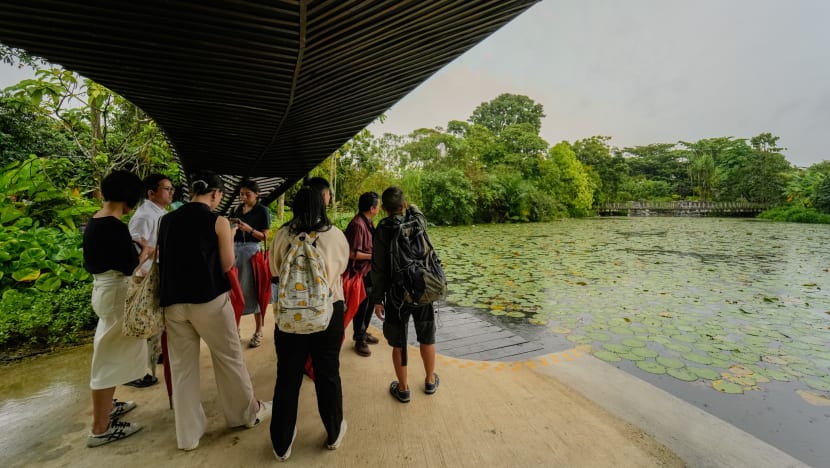 Lawatan berpandu percuma terap ciri kemampanan, luar biasa Taman di Persisiran