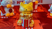 KFC Singapore launching Sichuan mala chicken and fortune cat blind boxes for Chinese New Year