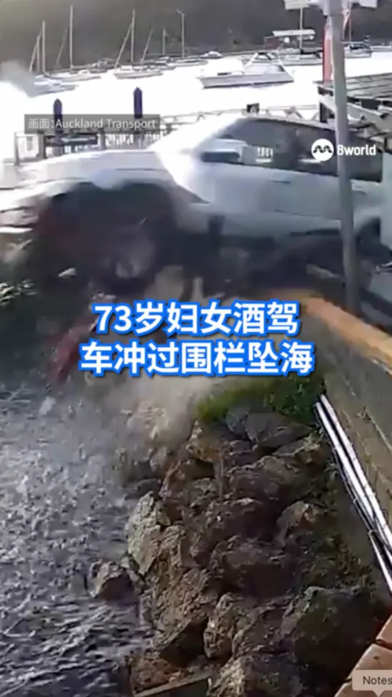 73岁妇女酒驾 车冲过围栏坠海