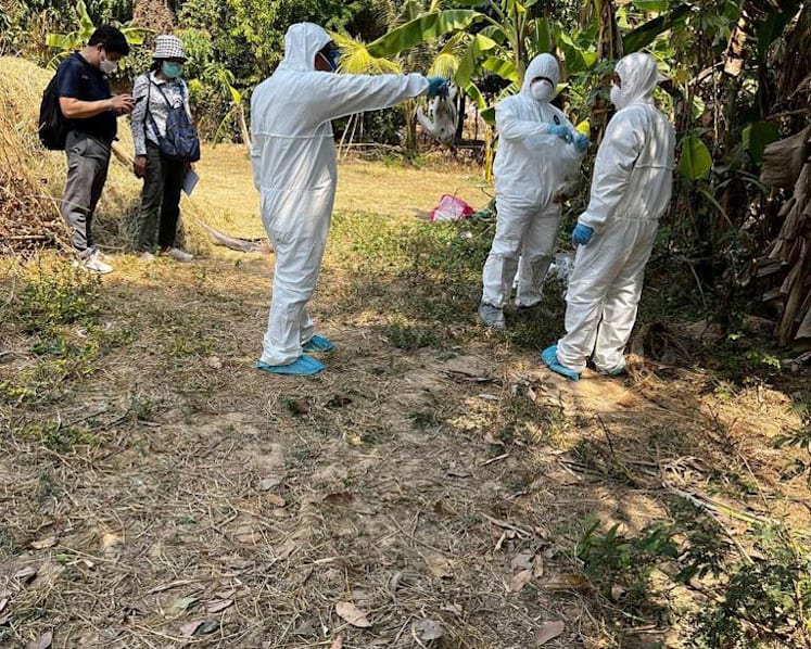 Cambodia says recent bird flu cases not spread by humans