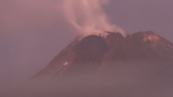 Related article image