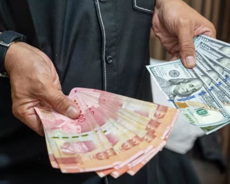 Komentar: Indonesia mulai panik hadapi anjloknya rupiah