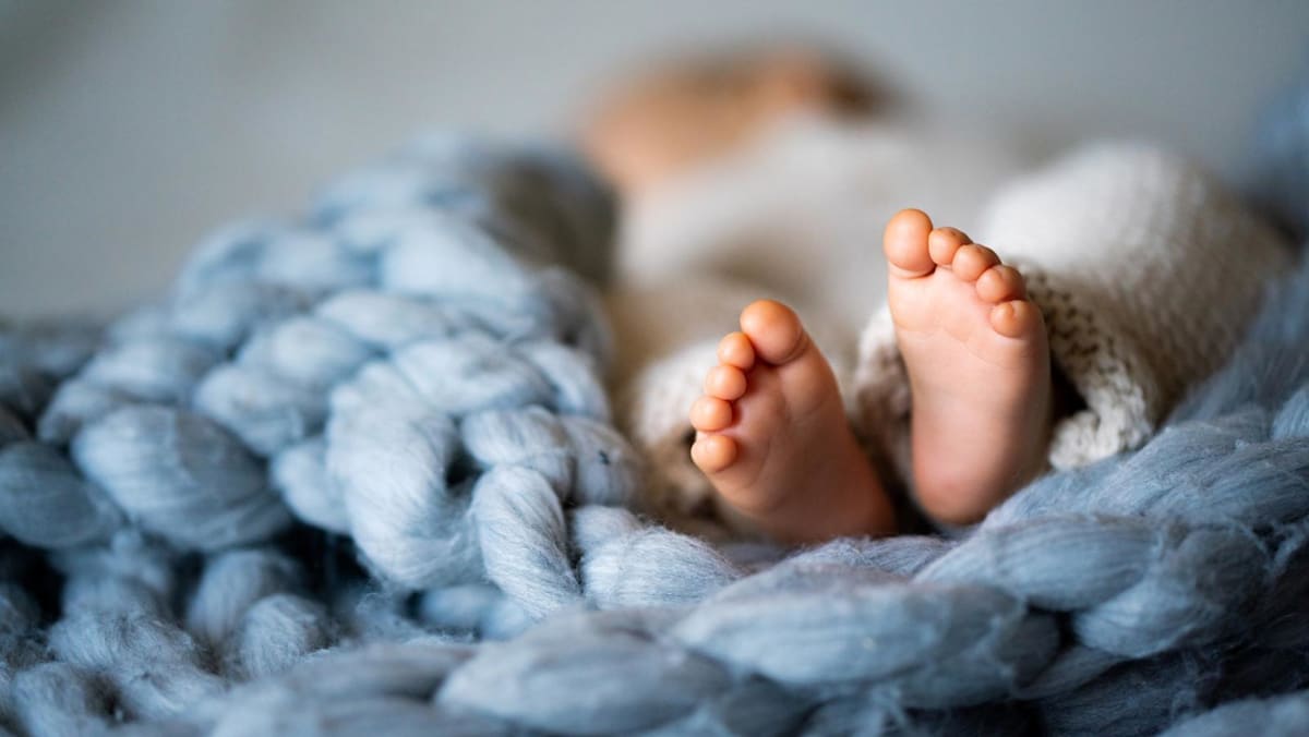 Indonesia baby trafficking ring: Adoptive parents face delays getting Singapore citizenship for children amid probe