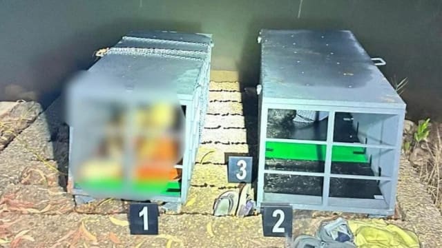 把父妹锁铁箱丢池活活淹死 泰国男：争不到遗产　 