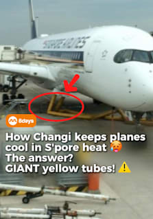 If you’ve ever looked out of the window while boarding a flight at Changi Airport and wondered what those giant yellow tubes attached to the plane are, you’re not alone. A recent Reddit post sparked curiosity about these mysterious hoses, which are actually pre-conditioned air units that help keep aircraft cabins cool while reducing fuel consumption and emissions. #8dayssg #8dayssgtrending #planes #airport #singapore