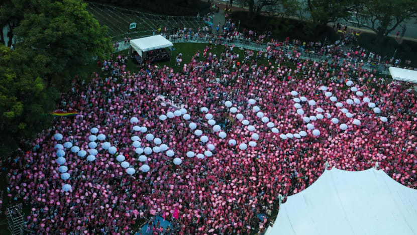  Thousands attend Pink Dot LGBTQ rally, as physical event resumes after 2-year hiatus
