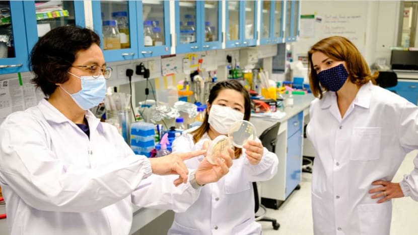 NTU’s new ‘superbug killer’ offers new hope in fight against antibiotic resistance crisis