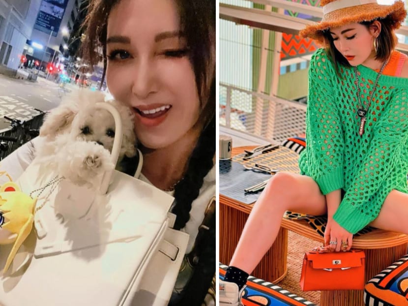 HK star Rain Li uses Hermes Birkin bag as dog carrier