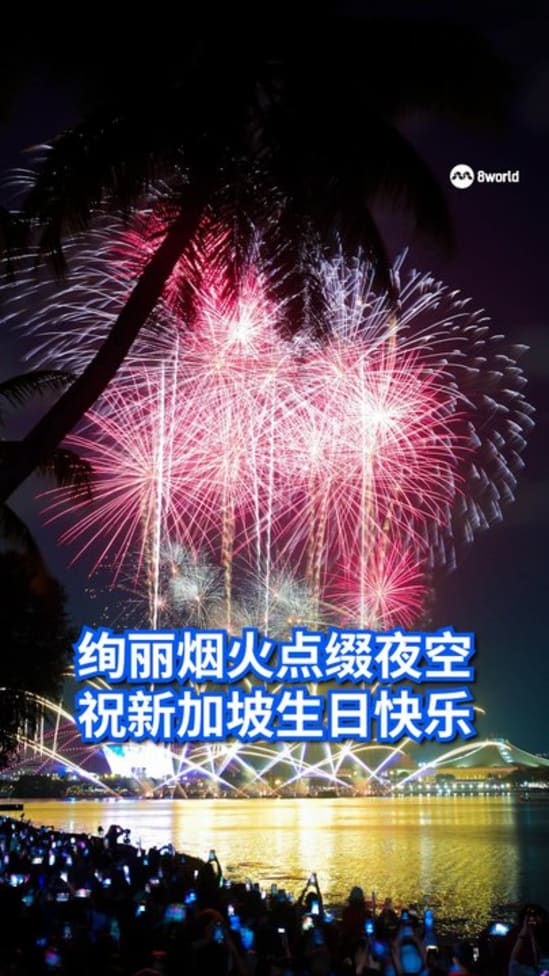 绚丽烟火点缀夜空 祝新加坡生日快乐