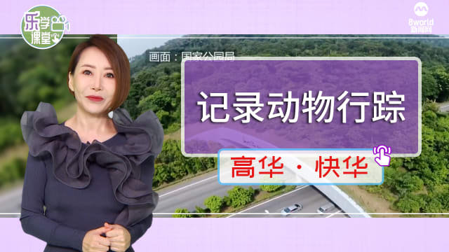 【高华快华】武吉知马生态连道2024年启动新一轮生态调查