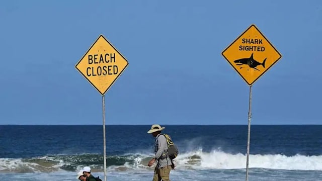 澳洲东部海滩鲨鱼袭人酿一死一伤