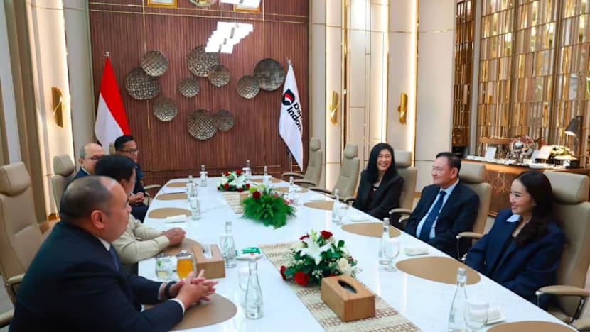 Keluarga Shinawatra bertemu Presiden Prabowo bincang pelaburan
