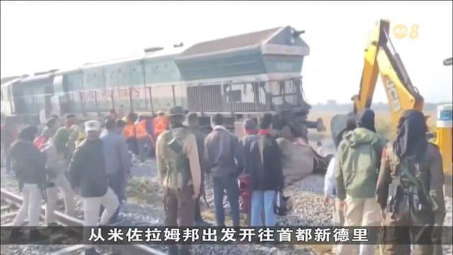印度列车与象群相撞 至少七头大象当场死亡