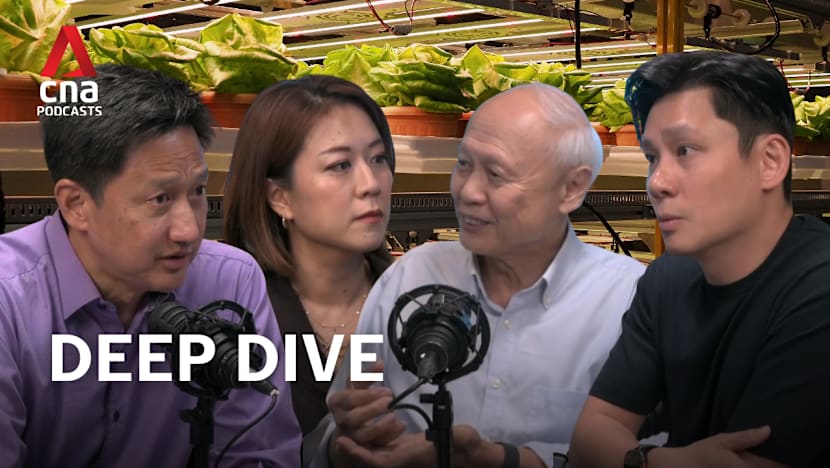 Deep Dive - With new 2035 targets, can Singapore farm its way to improved food security?