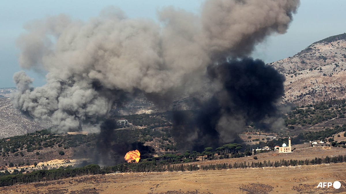 Israel carries out deadly incursion in south Lebanon