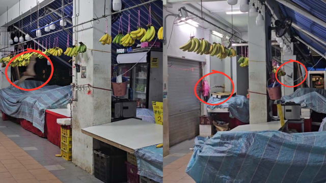 数只蝙蝠夜袭水果摊偷吃香蕉 网民：好恶心