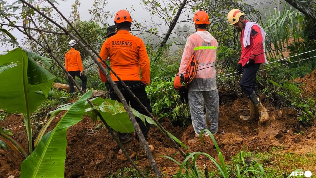 Indonesia rescuers search for survivors as landslide kills 19 Indonesia rescuers search for survivors as landslide kills 19