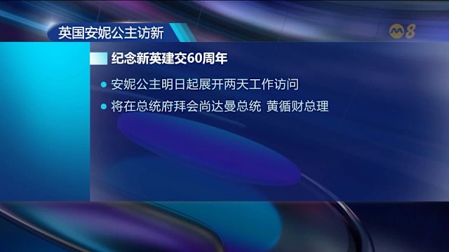多国领袖将到我国进行访问 包括英国安妮公主