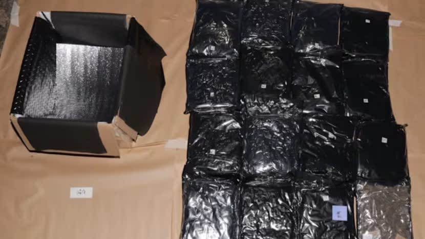 Lebih 500kg ganja dirampas di Stesen Imbasan Pasir Panjang