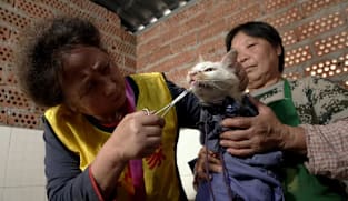 Undercover Asia - Pasar Gelap Hewan China